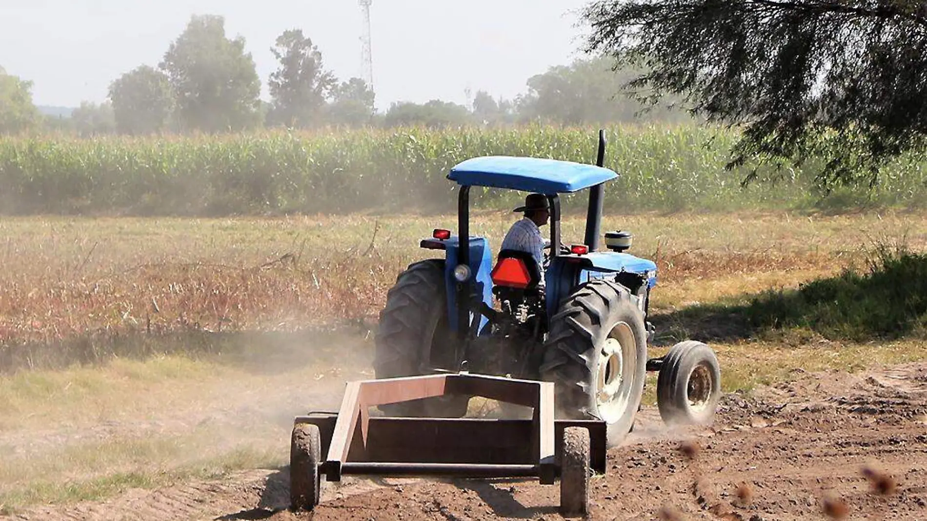 Tractor arando el campo